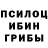 Псилоцибиновые грибы MAGIC MUSHROOMS ZeroxYT