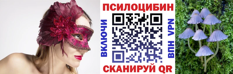 mega tor  Изобильный  Псилоцибиновые грибы Cubensis 
